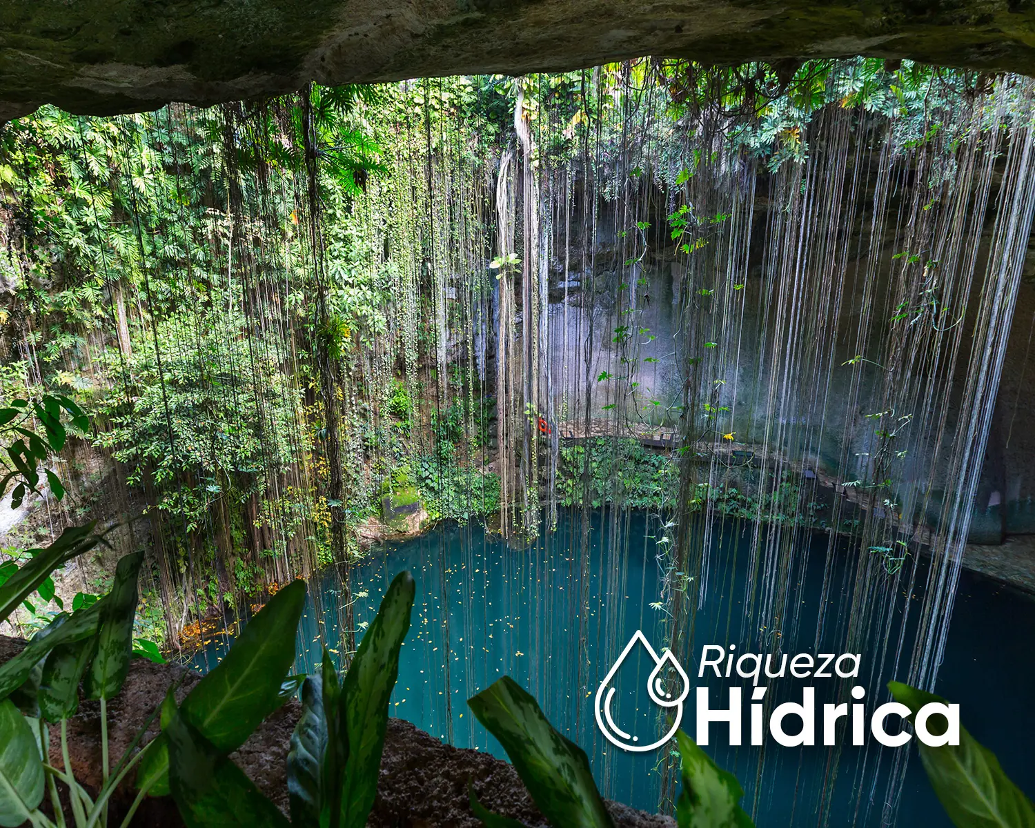 Riqueza hídrica de Yucatán