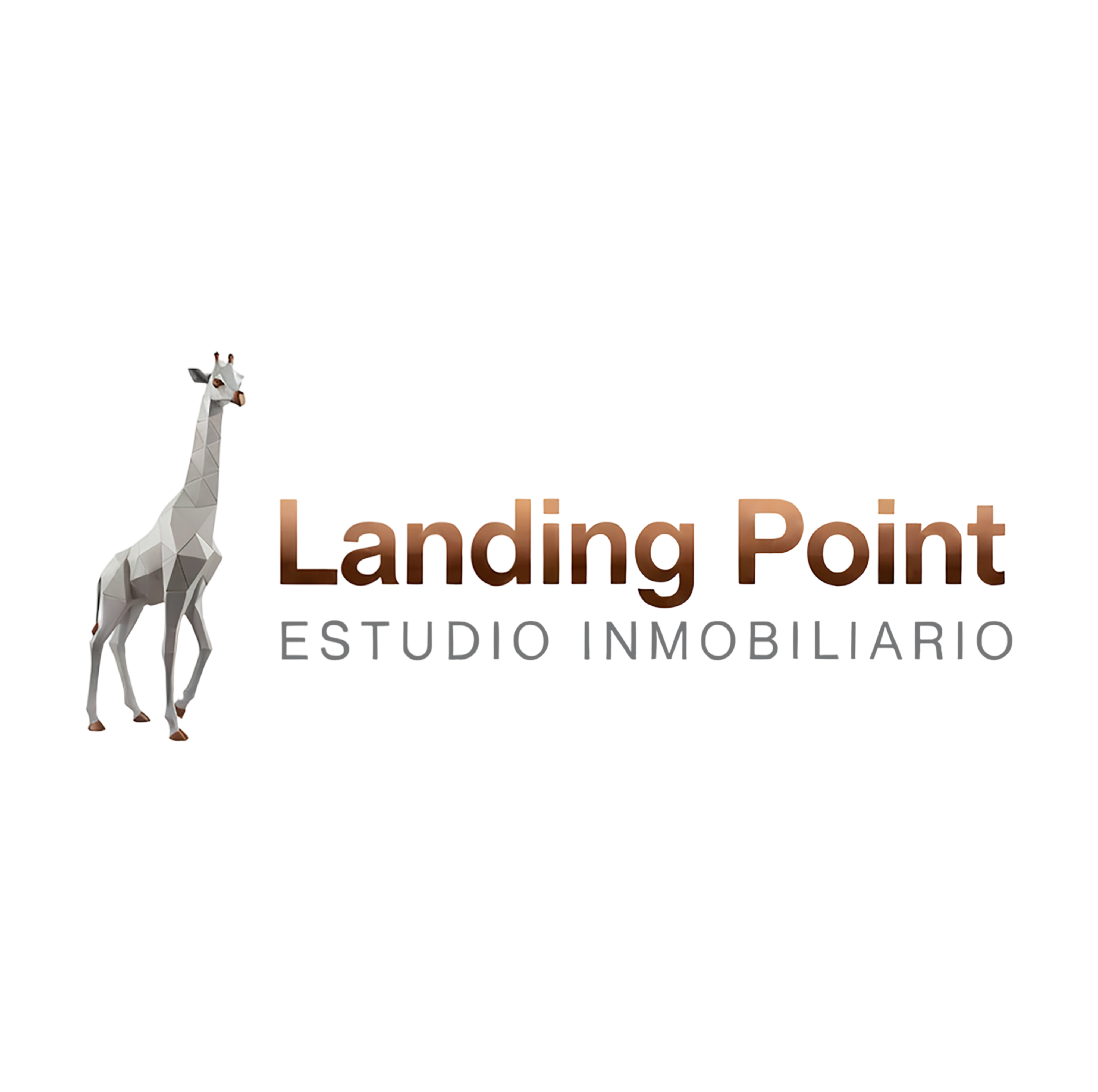 Landing Point