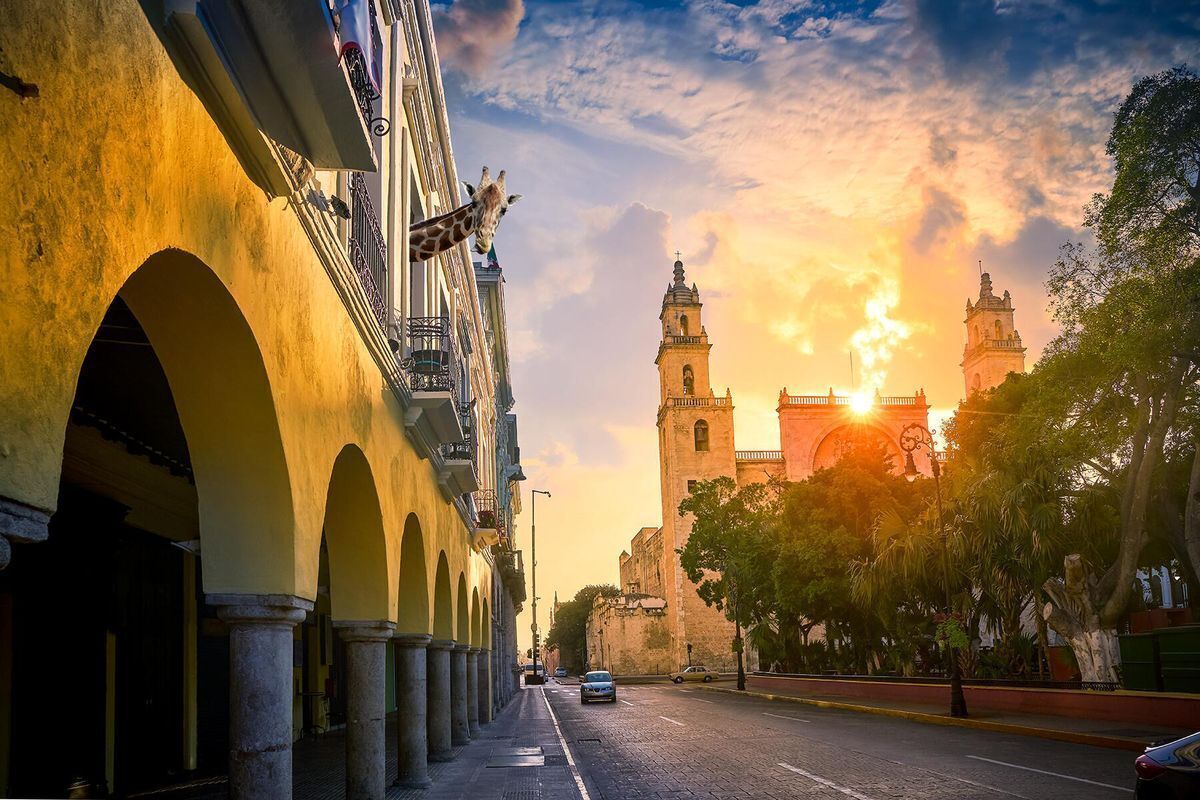 Terreno en Venta Mérida Yucatán — fotografía 1